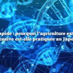 Réponse rapide : pourquoi l’agriculture extrêmement intensive est-elle pratiquée au Japon ?